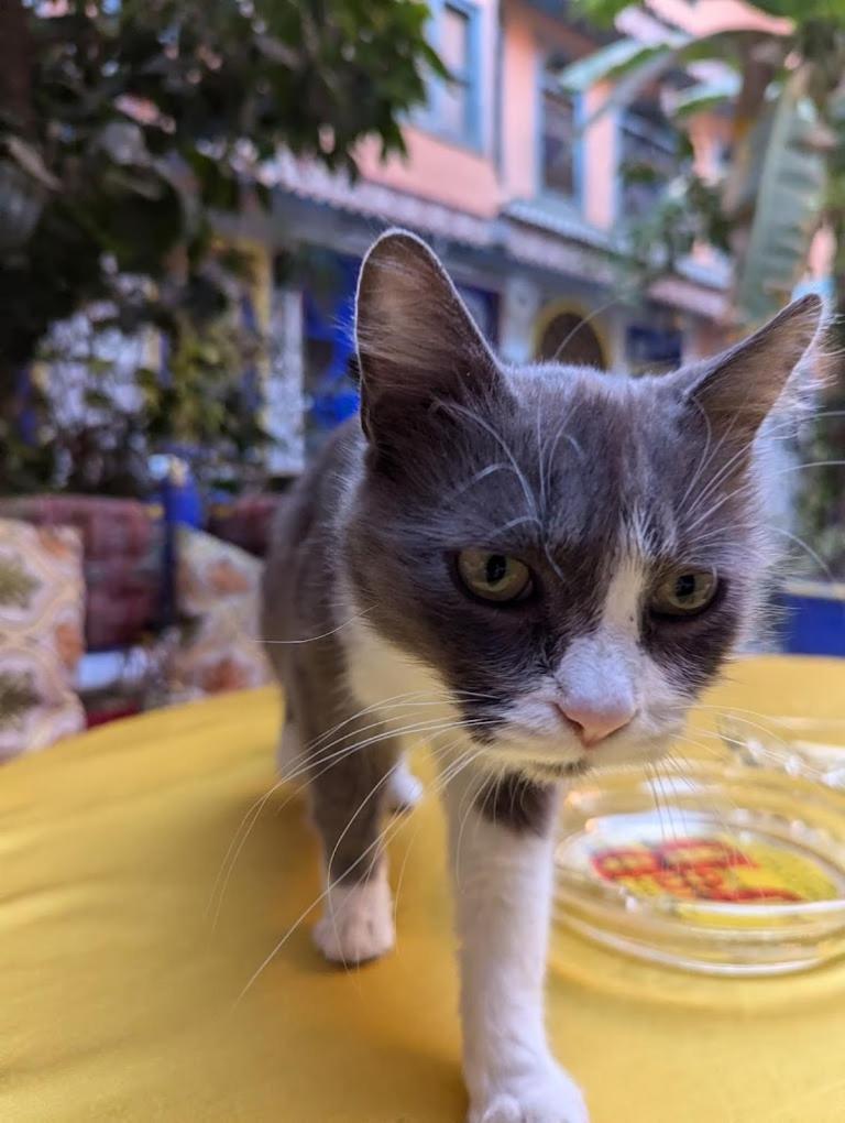 Riad Carole - Perfect For Families & Groups マラケシュ エクステリア 写真